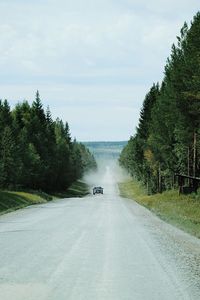 Car on road amidst trees against sky