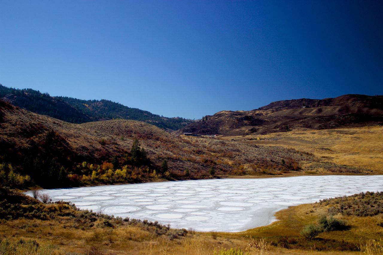 Alkaline Lake