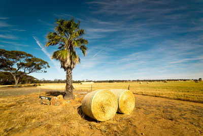 Hay bales on field against sky