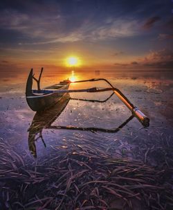 Driftwood on beach against sky during sunset