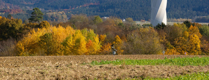 Trees on field during autumn