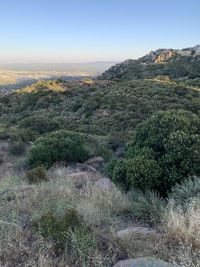 Scenic view of landscape against clear sky