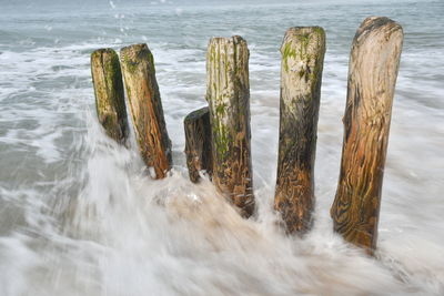 Panoramic shot of wooden posts in sea