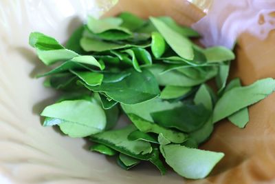 Close-up of leaves