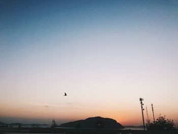 Silhouette of birds flying against clear sky