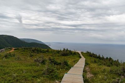 Footpath leading towards sea against sky