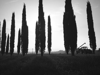 Silhouette trees on field against sky