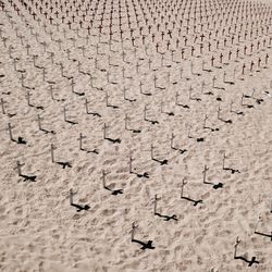 Full frame shot of brick wall
