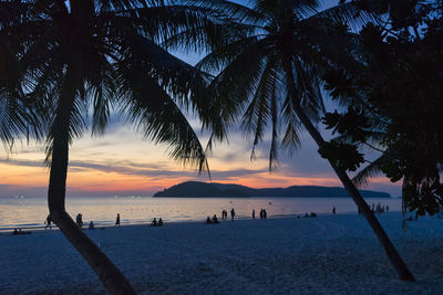 Silhouette palm trees on beach against sky during sunset