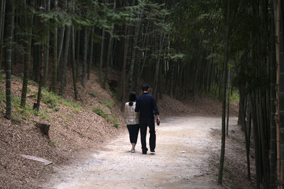 Rear view of couple walking in bamboo grove