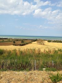 Scenic view of field against sky