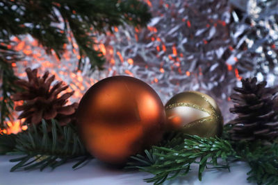 Close-up of christmas tree
