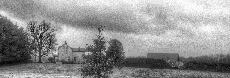 Trees on field against sky