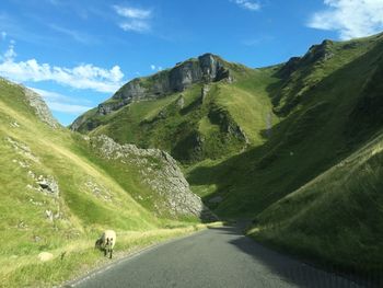 Road amidst green landscape against sky