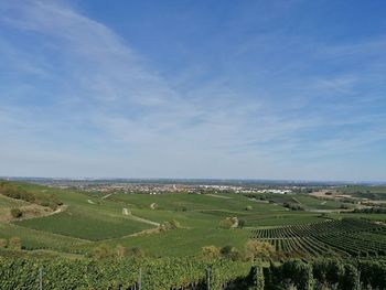 Scenic view of agricultural field against sky. rheinhessen 