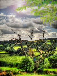 Scenic view of grassy field against cloudy sky