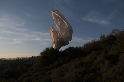 Low angle view of person paragliding against sky