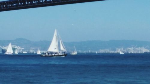 Boat sailing in sea