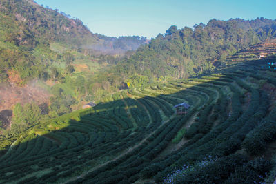 High angle view of agricultural field against sky