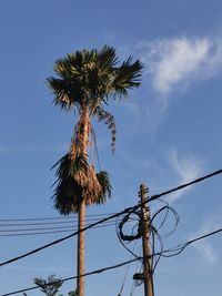 Low angle view of tree against sky