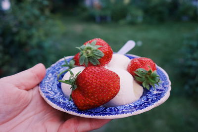 Close-up of hand holding strawberries