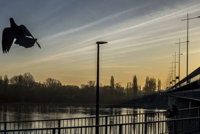 Silhouette birds on railing against sky during sunset