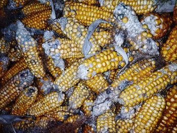 Full frame shot of yellow dry corns for sale