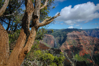 View of trees on landscape against cloudy sky