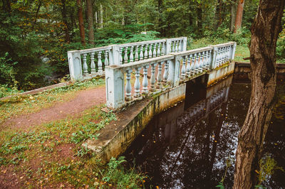 Bridge in forest