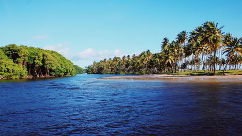 Scenic view of river against blue sky