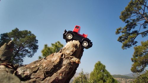 Toy crane at top of the old tree