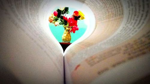 High angle view of flowers on red toy