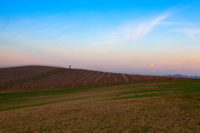 Scenic view of field against sky during sunset