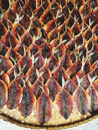 Full frame shot of textured surface