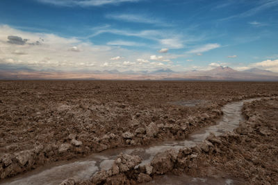 Scenic view of desert against sky