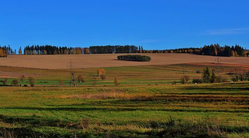 Scenic view of agricultural field against blue sky