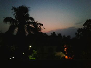 Silhouette of trees at sunset