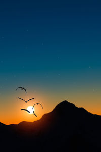 Low angle view of bird flying against sky at sunset