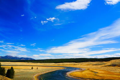 Scenic view of field against blue sky