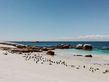 Scenic view of beach against clear sky