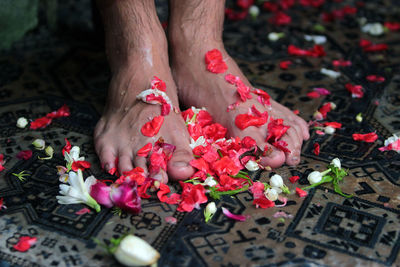 Low section of man with red petals on floor