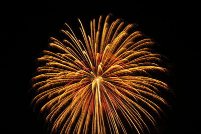 Low angle view of firework display against sky at night