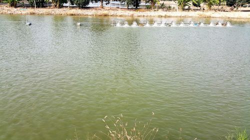 Scenic view of lake