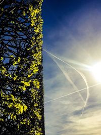 Low angle view of vapor trail in sky
