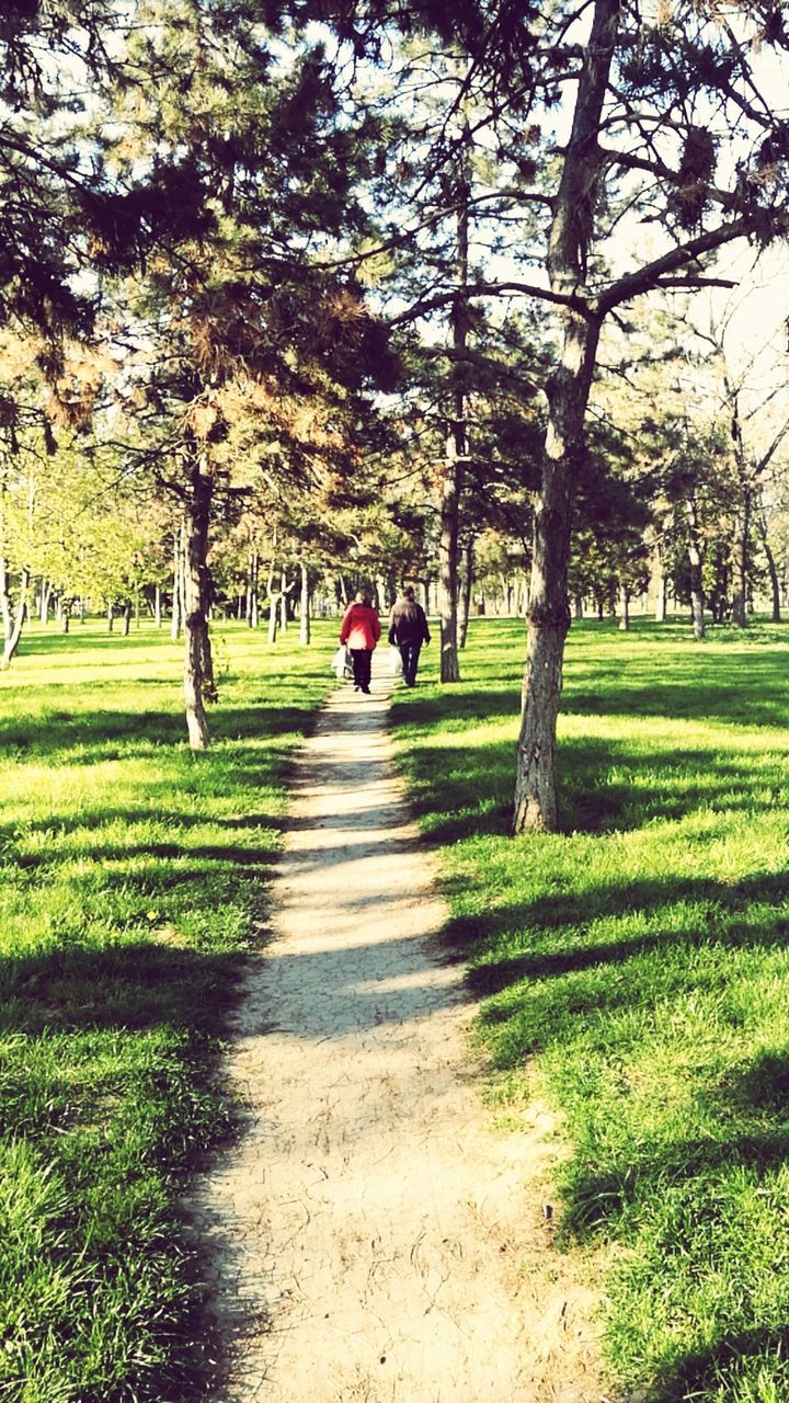 tree, nature, the way forward, full length, rear view, real people, growth, walking, lifestyles, day, beauty in nature, outdoors, women, shadow, leisure activity, one person, grass, men, scenics, tranquil scene, green color, path, people, adult