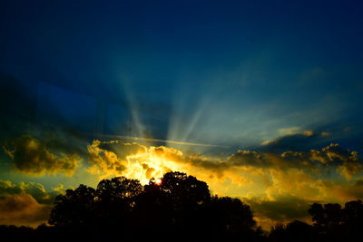 Low angle view of silhouette trees against scenic sky