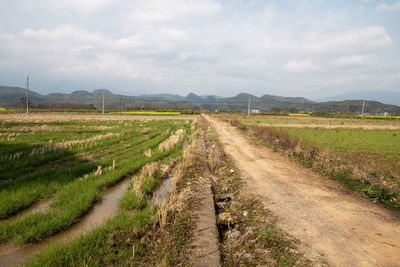 landscape