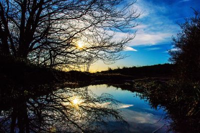 Silhouette trees by lake in forest against sky