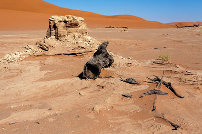 View of rock formations in desert