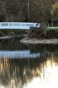 Bridge over lake against trees